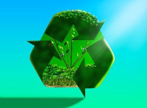 recycled, eco system, trees, birds, flowers, vines, flower wallpaper, beautiful flowers, nature, grass, flower background, dirt, sand, butterflies, earth, environment